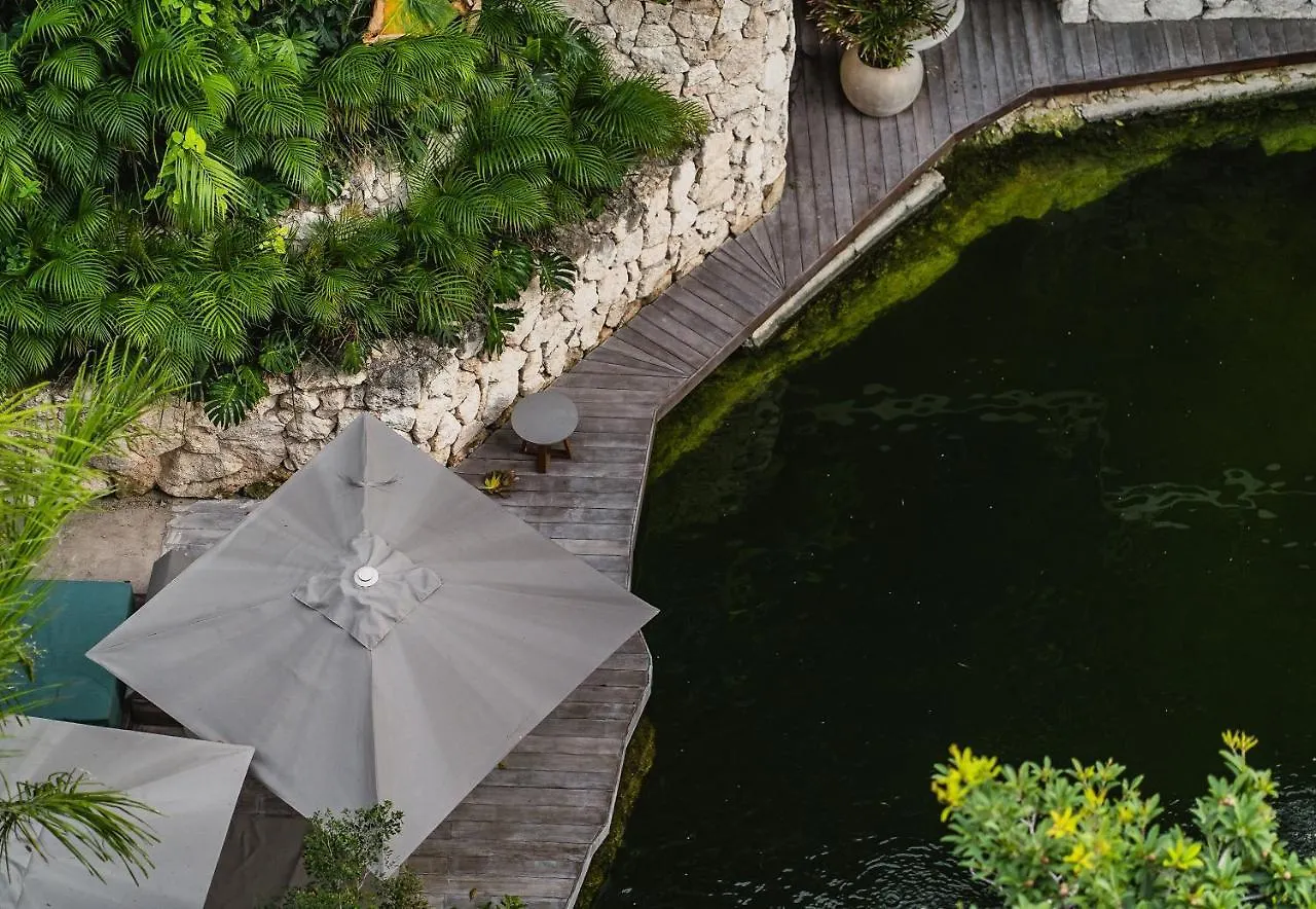 בית הארחה מלון Luxury 2Br Penthouse Tulum Private Pool Cenote